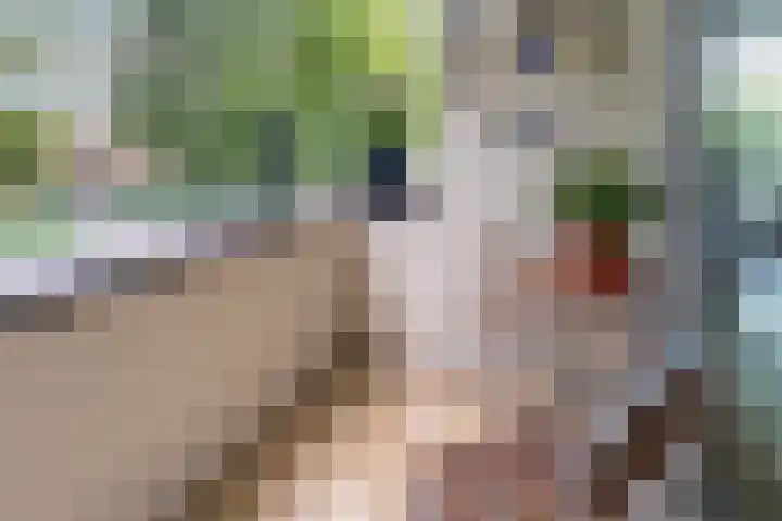 van Reeslaan 77 Nieuwegein thumbnail 8