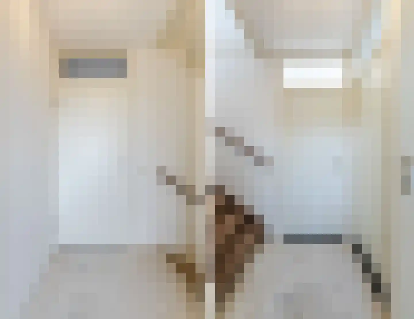 Van Reesstraat 15 Oosterhout thumbnail 13