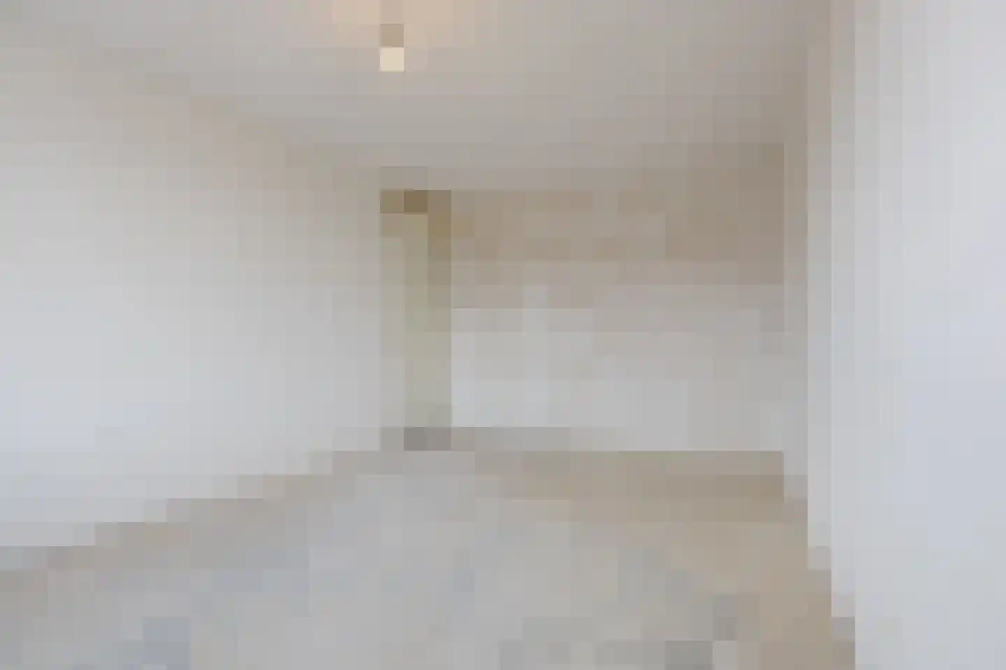 Van Reesstraat 15 Oosterhout thumbnail 18