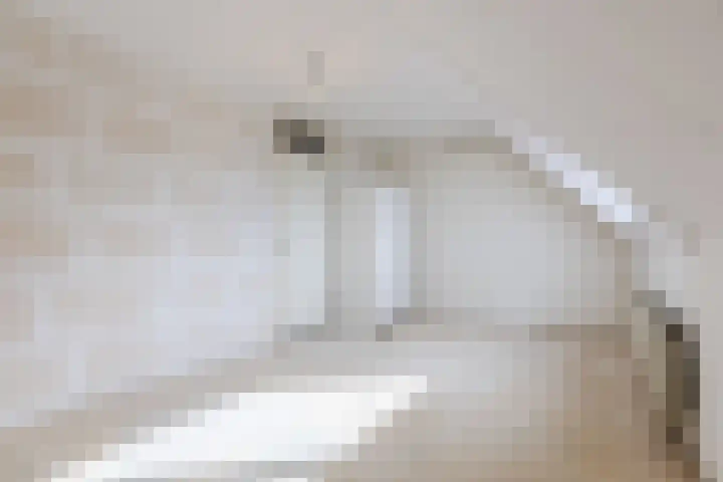 Van Reesstraat 15 Oosterhout thumbnail 21