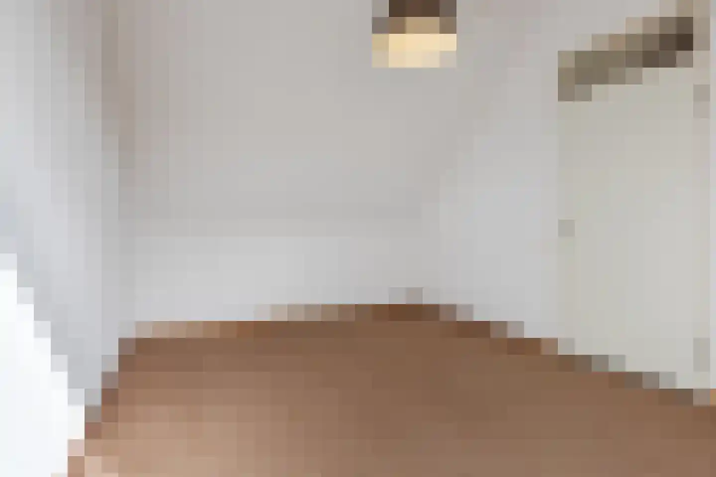 Van Reesstraat 15 Oosterhout thumbnail 26