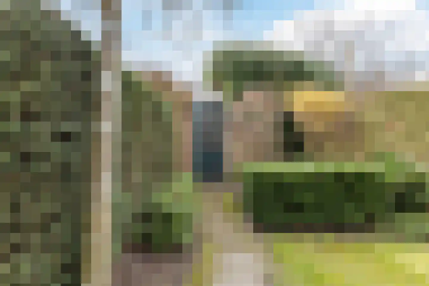 Van Reesstraat 15 Oosterhout thumbnail 31