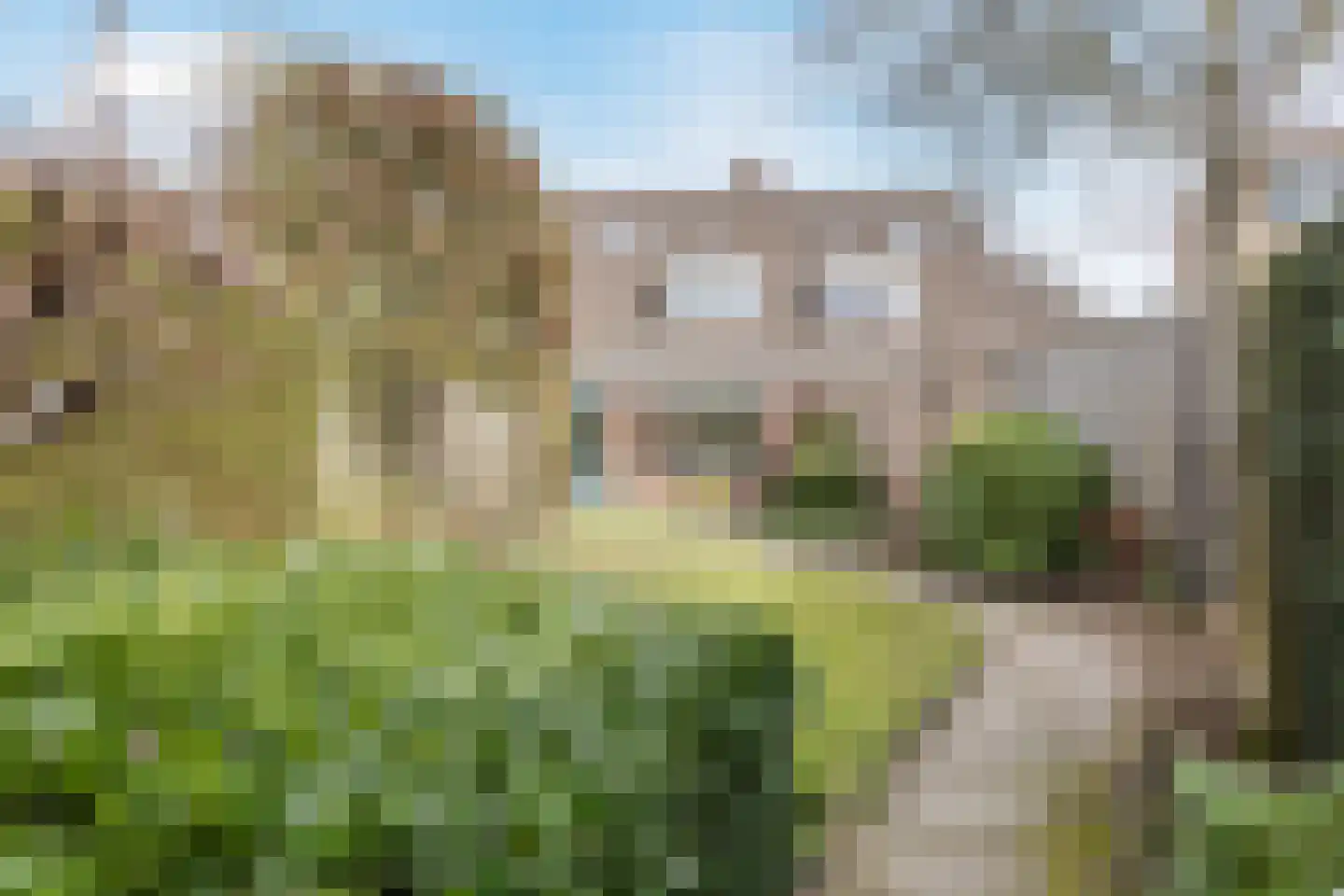 Van Reesstraat 15 Oosterhout thumbnail 33