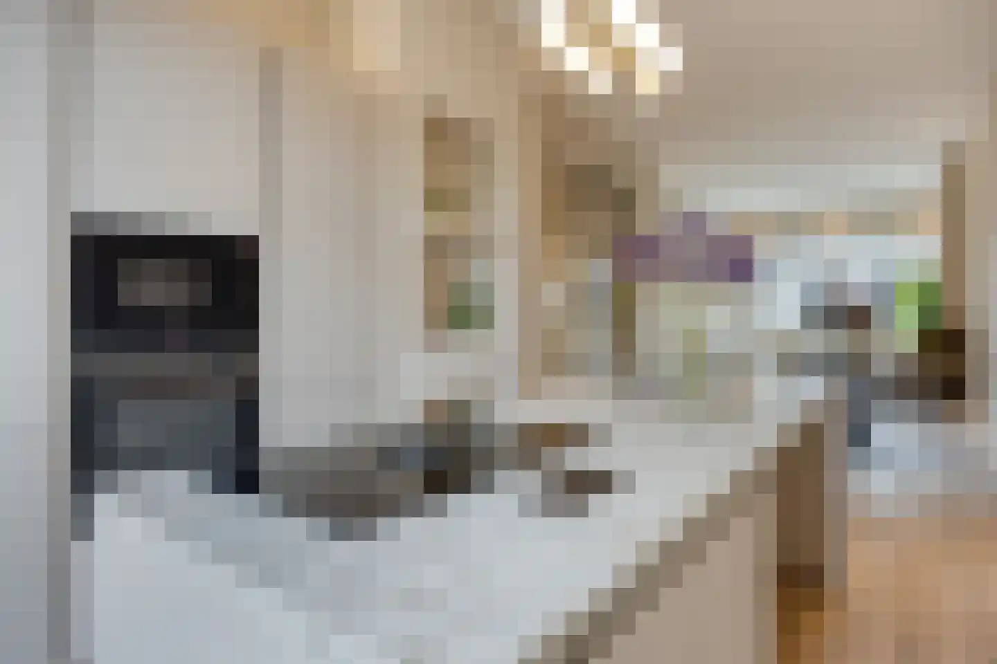 Van Reesstraat 26 Den Haag thumbnail 16