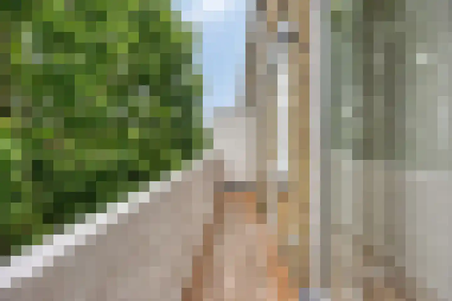 Van Reesstraat 26 Den Haag thumbnail 5