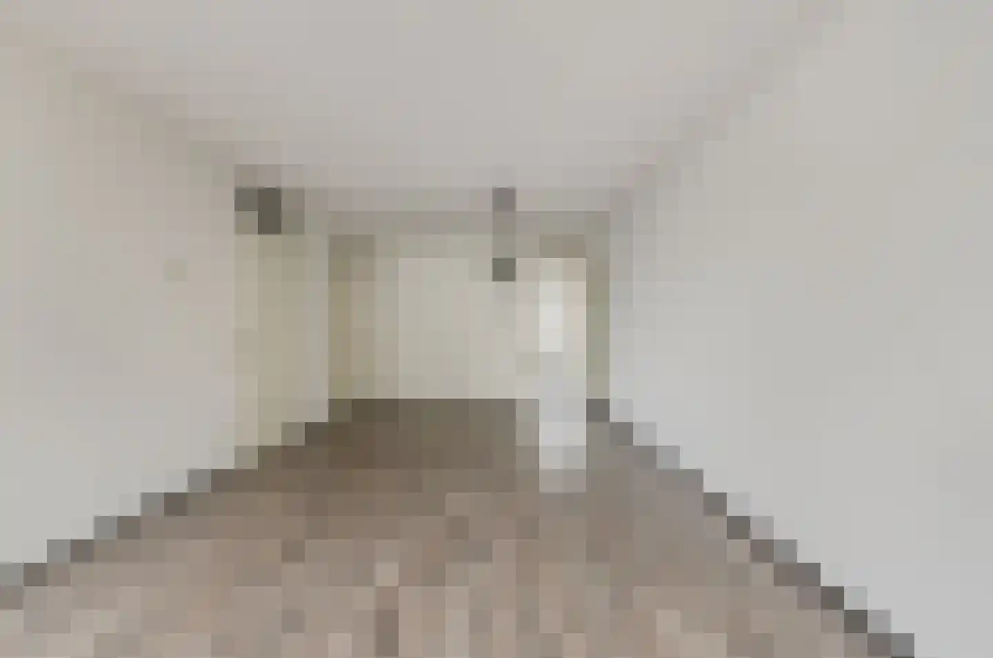 Van Reesstraat 31 Oosterhout thumbnail 10