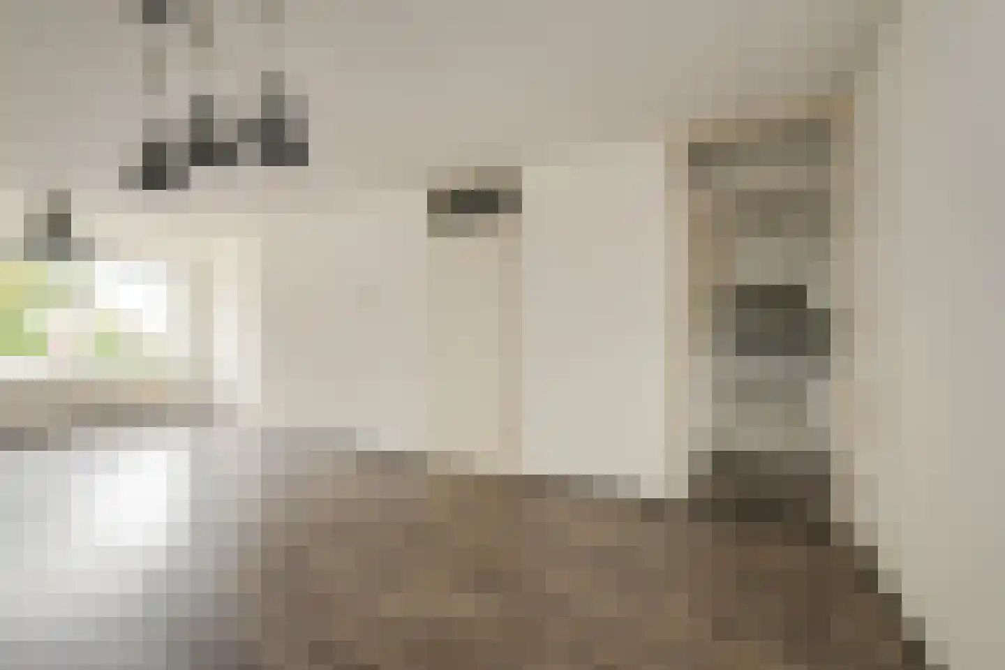 Van Reesstraat 31 Oosterhout thumbnail 12