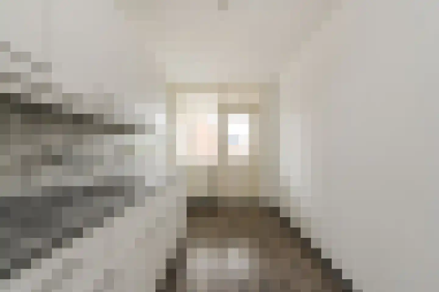 Van Reesstraat 31 Oosterhout thumbnail 14