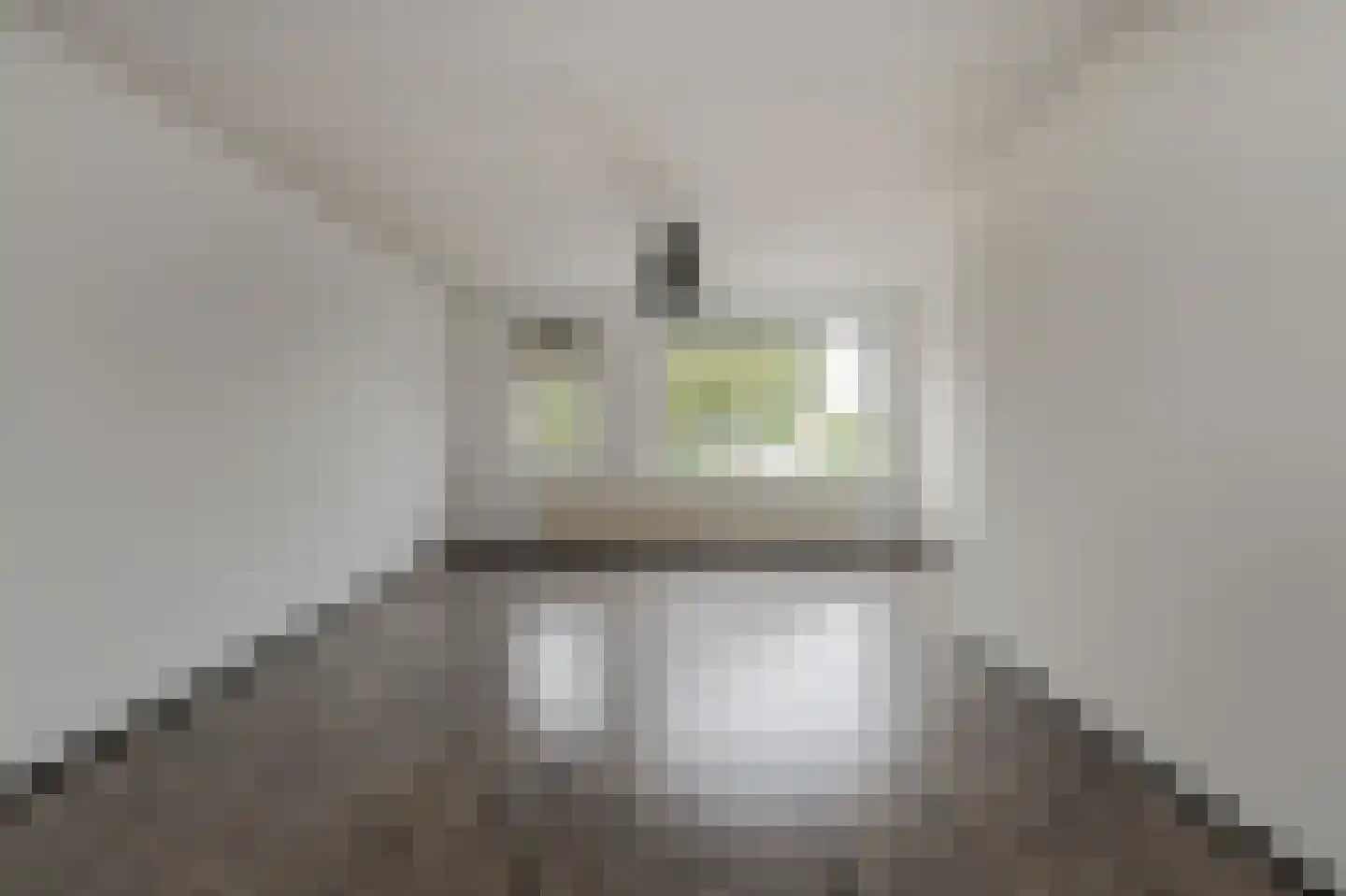 Van Reesstraat 31 Oosterhout thumbnail 5
