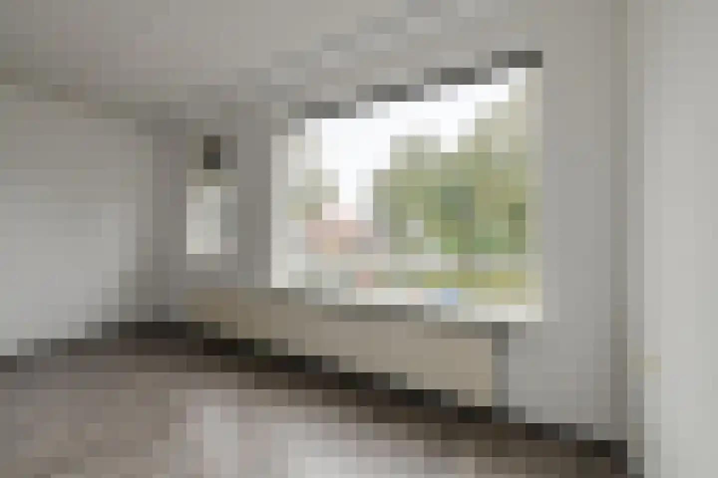 Van Reesstraat 31 Oosterhout thumbnail 7