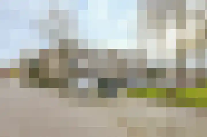 Van Reesstraat 47 Oosterhout thumbnail 30