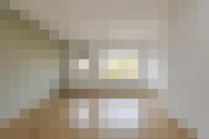 Van Reesstraat 47 Oosterhout thumbnail 5
