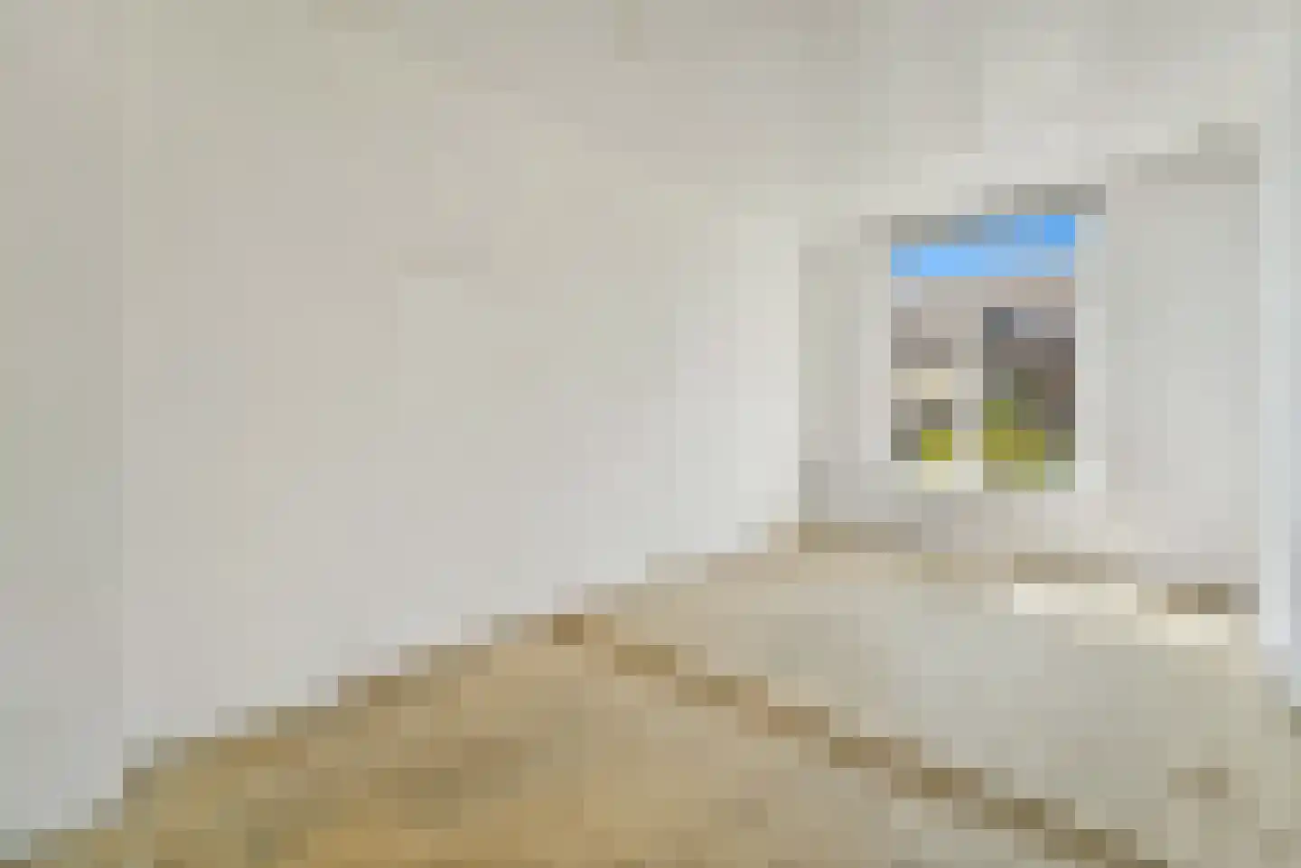 Van Reesstraat 51 Den Haag thumbnail 20