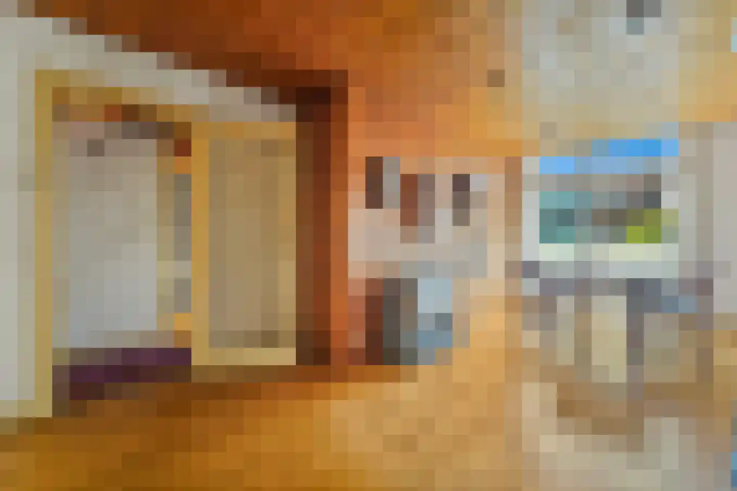 Van Reesstraat 51 Den Haag thumbnail 4