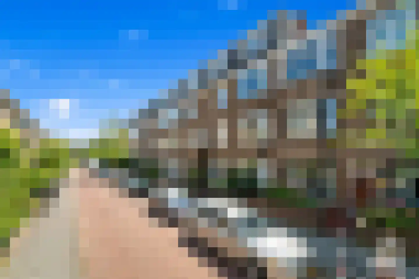 Van Reesstraat 51 Den Haag thumbnail 7