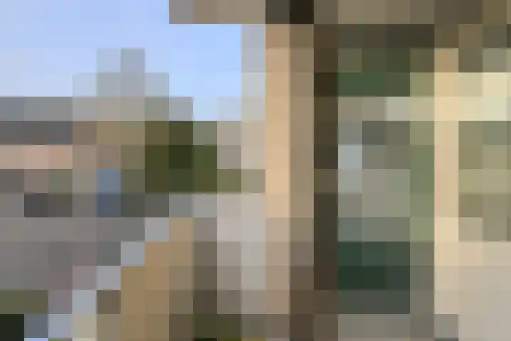 Van Reesstraat 6 C Oosterhout thumbnail 10