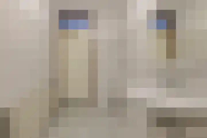 Van Reesstraat 6 C Oosterhout thumbnail 22