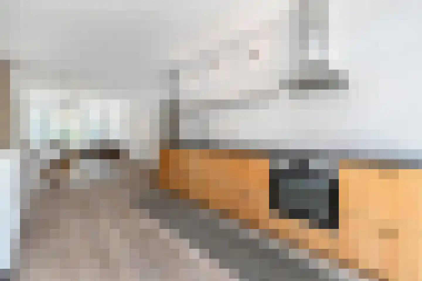 Van Reesstraat 75 Den Haag thumbnail 13