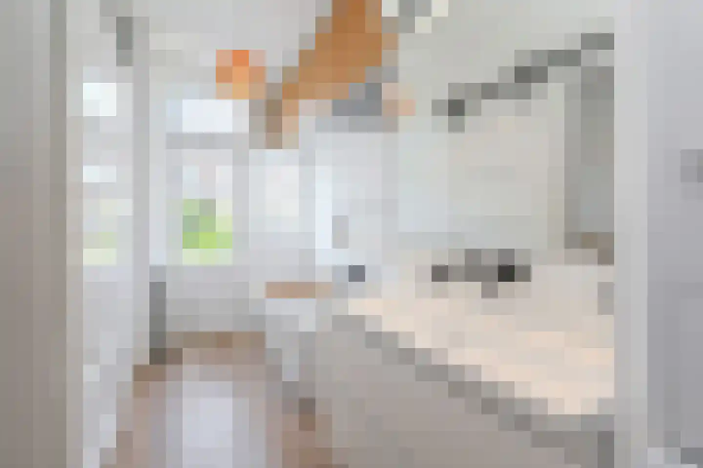 Van Reesstraat 75 Den Haag thumbnail 20
