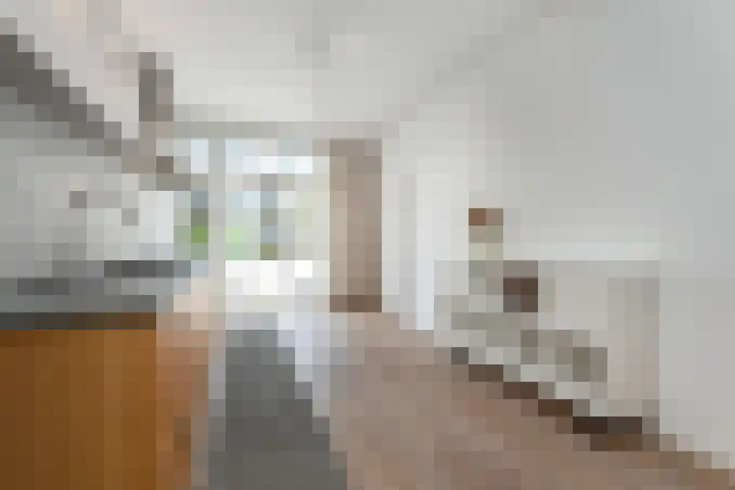 Van Reesstraat 75 Den Haag thumbnail 9