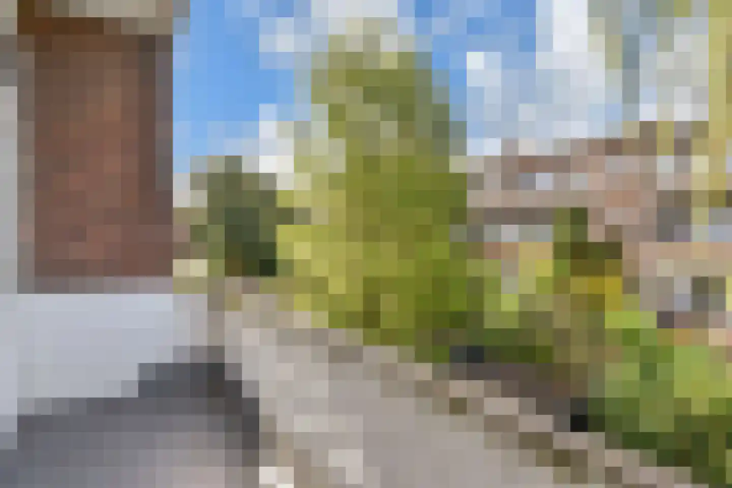 Van Reesstraat 87 Den Haag thumbnail 15