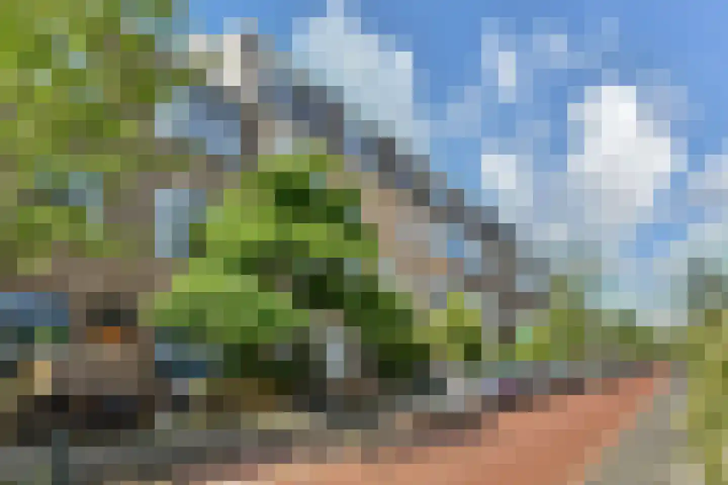 Van Reesstraat 87 Den Haag thumbnail 33
