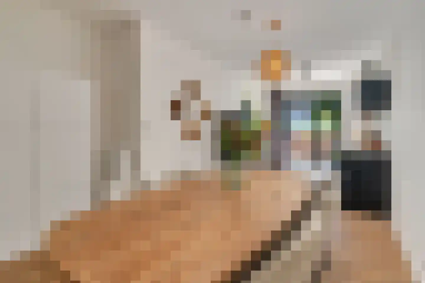 Van Reesstraat 97 Den Haag thumbnail 15