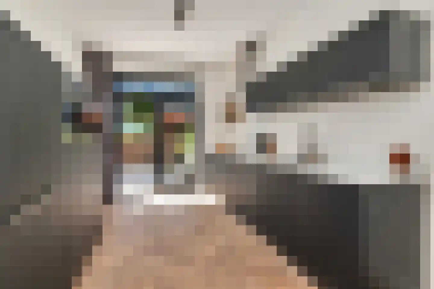 Van Reesstraat 97 Den Haag thumbnail 18
