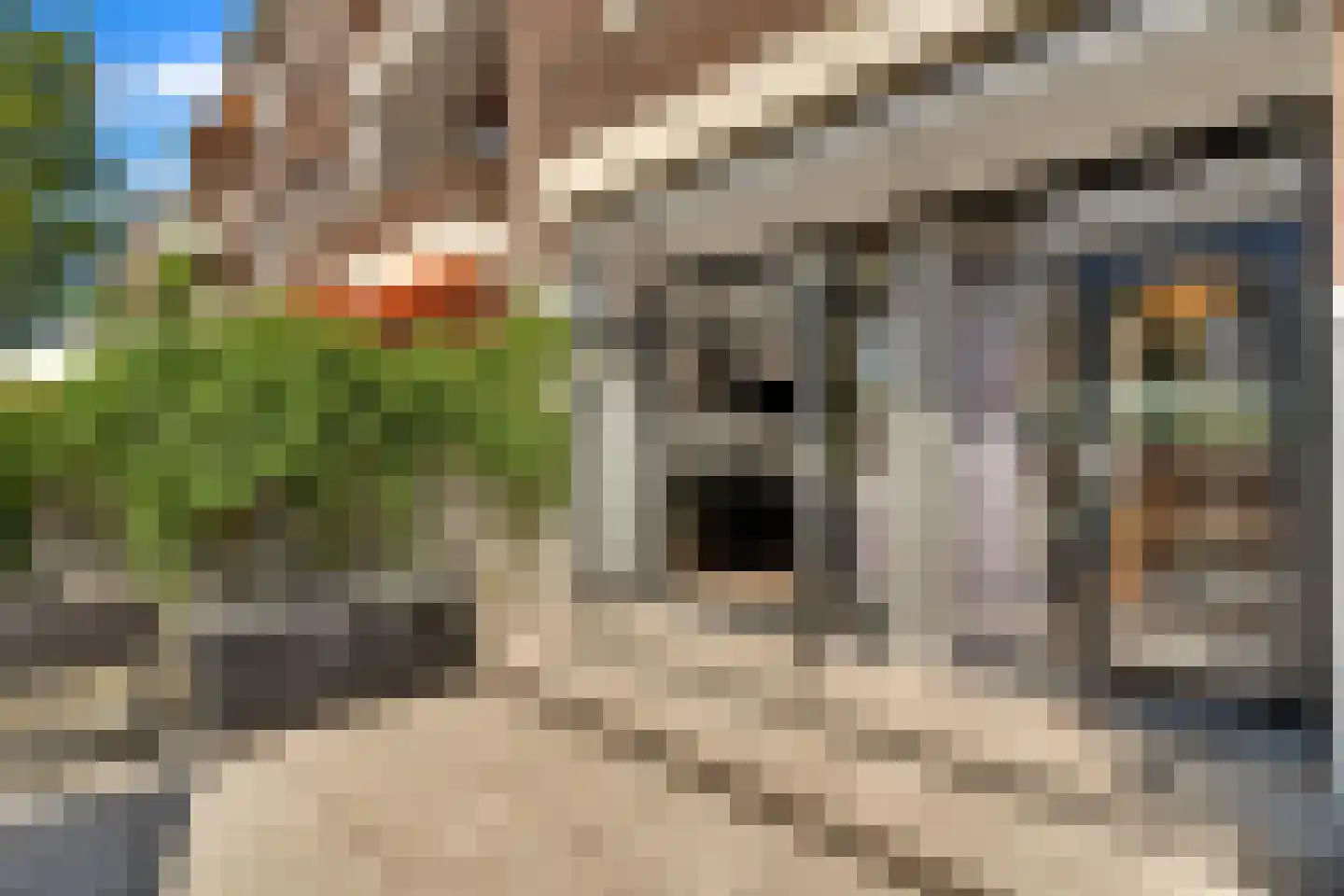 Van Reesstraat 97 Den Haag thumbnail 25