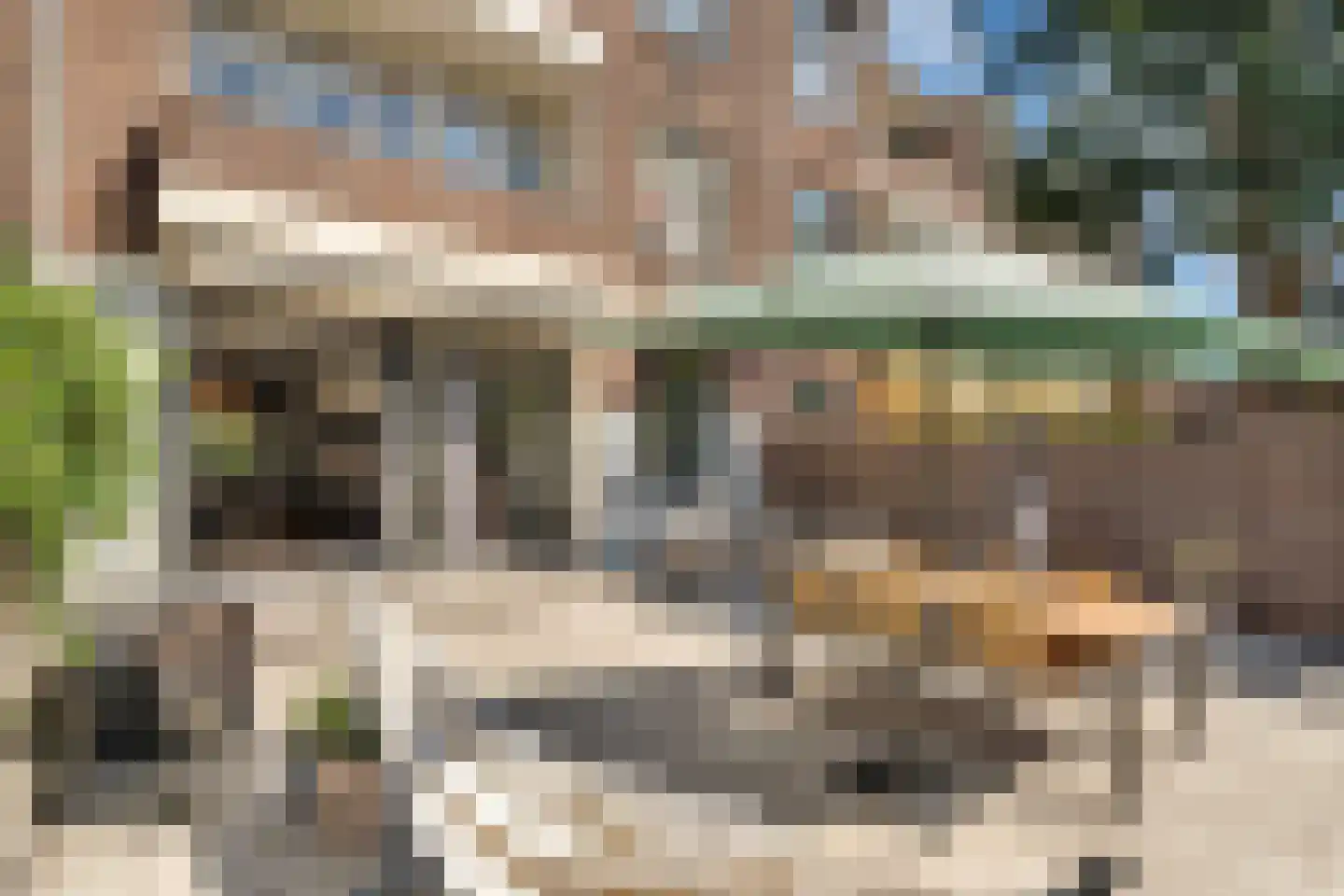 Van Reesstraat 97 Den Haag thumbnail 26
