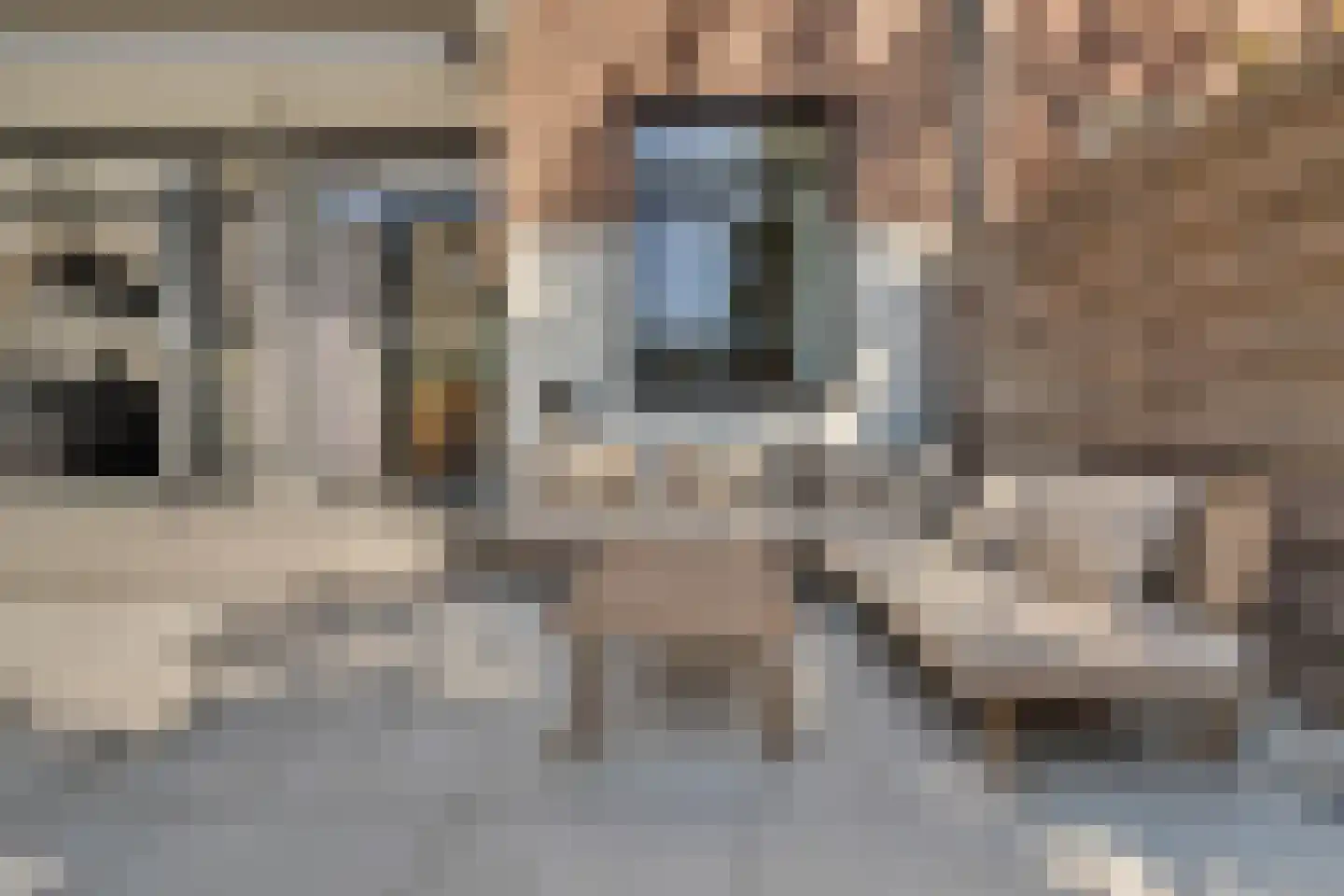 Van Reesstraat 97 Den Haag thumbnail 29