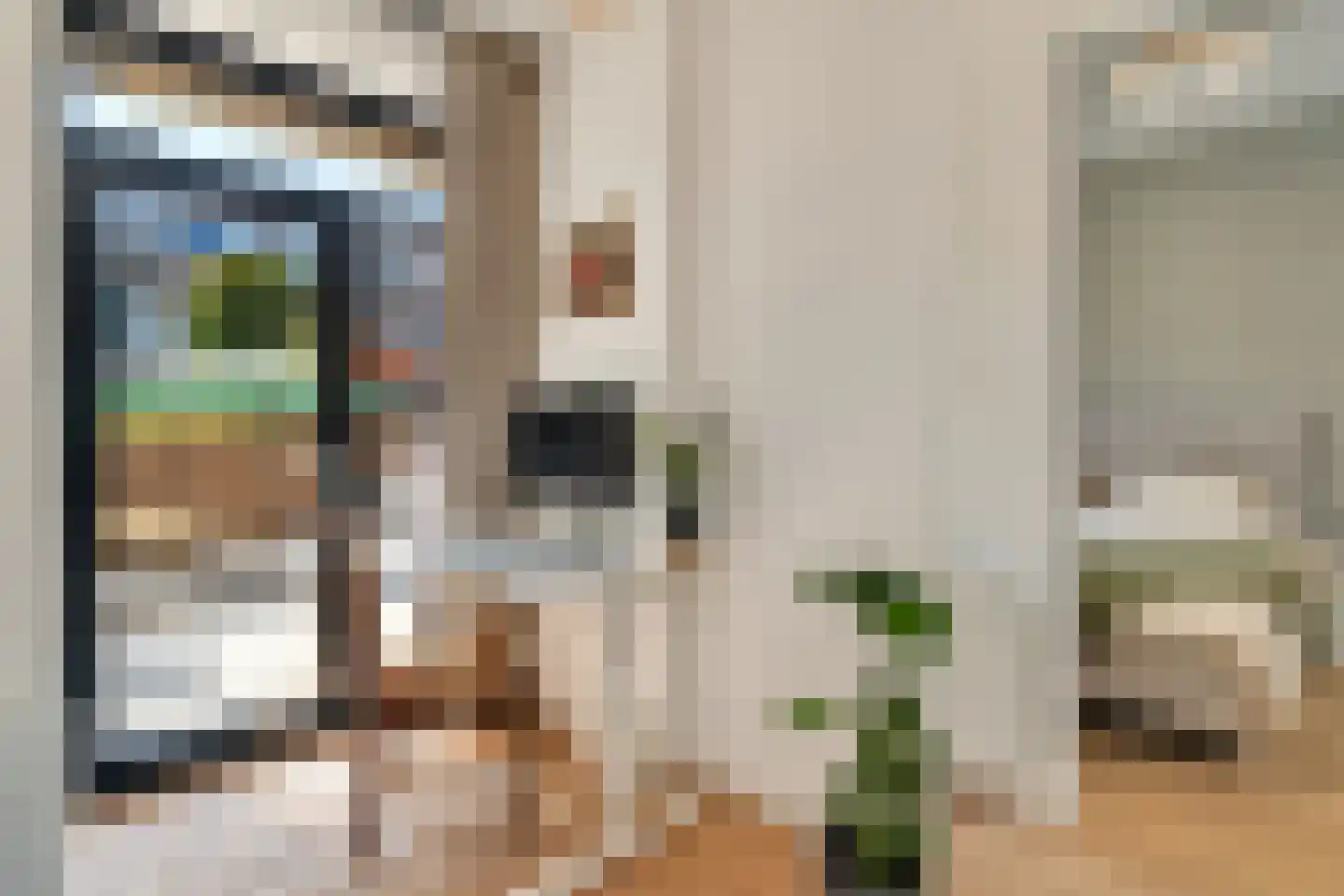 Van Reesstraat 97 Den Haag thumbnail 35
