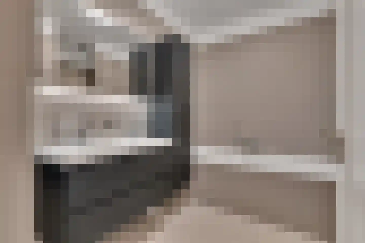 Van Reesstraat 97 Den Haag thumbnail 4