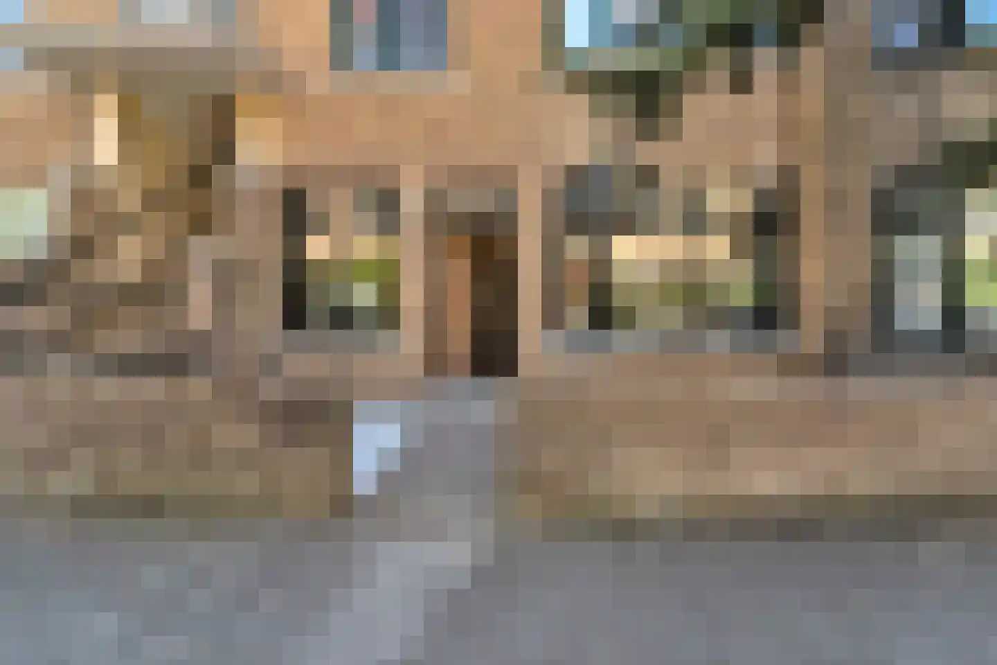 Van Reesstraat 97 Den Haag thumbnail 6