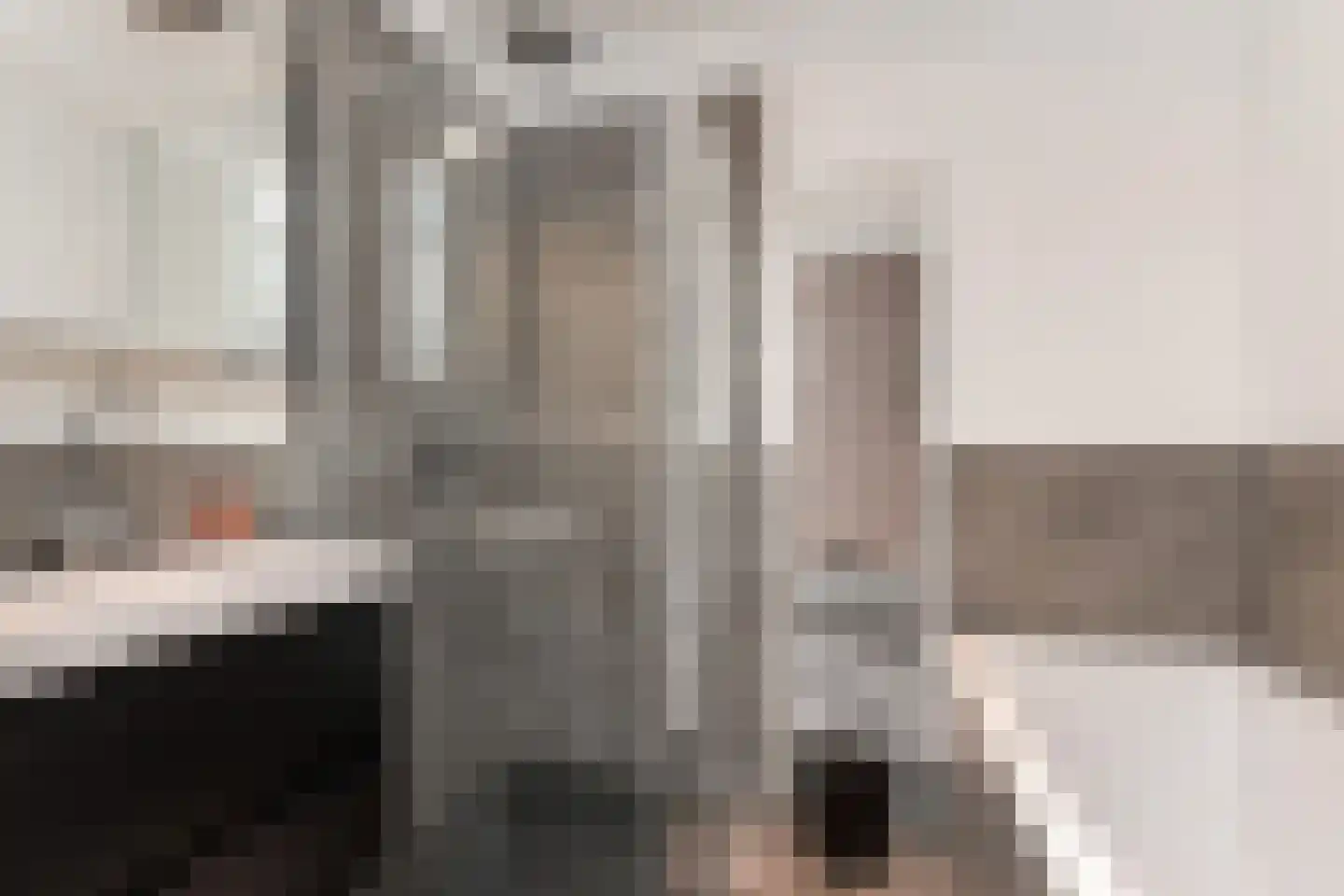 Van Reesstraat 99 Den Haag thumbnail 21