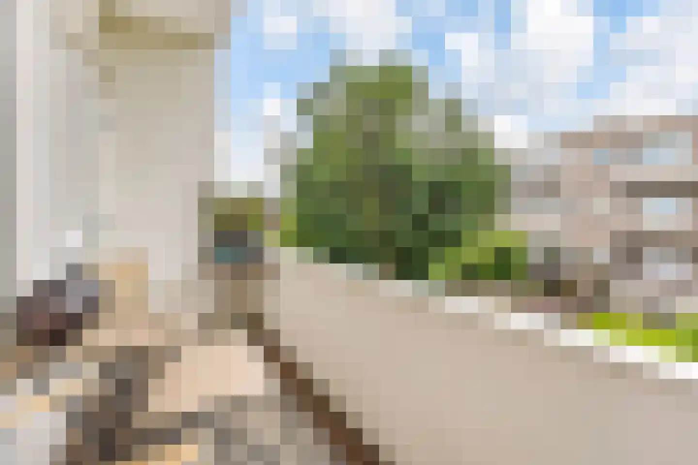 Van Reesstraat 99 Den Haag thumbnail 4