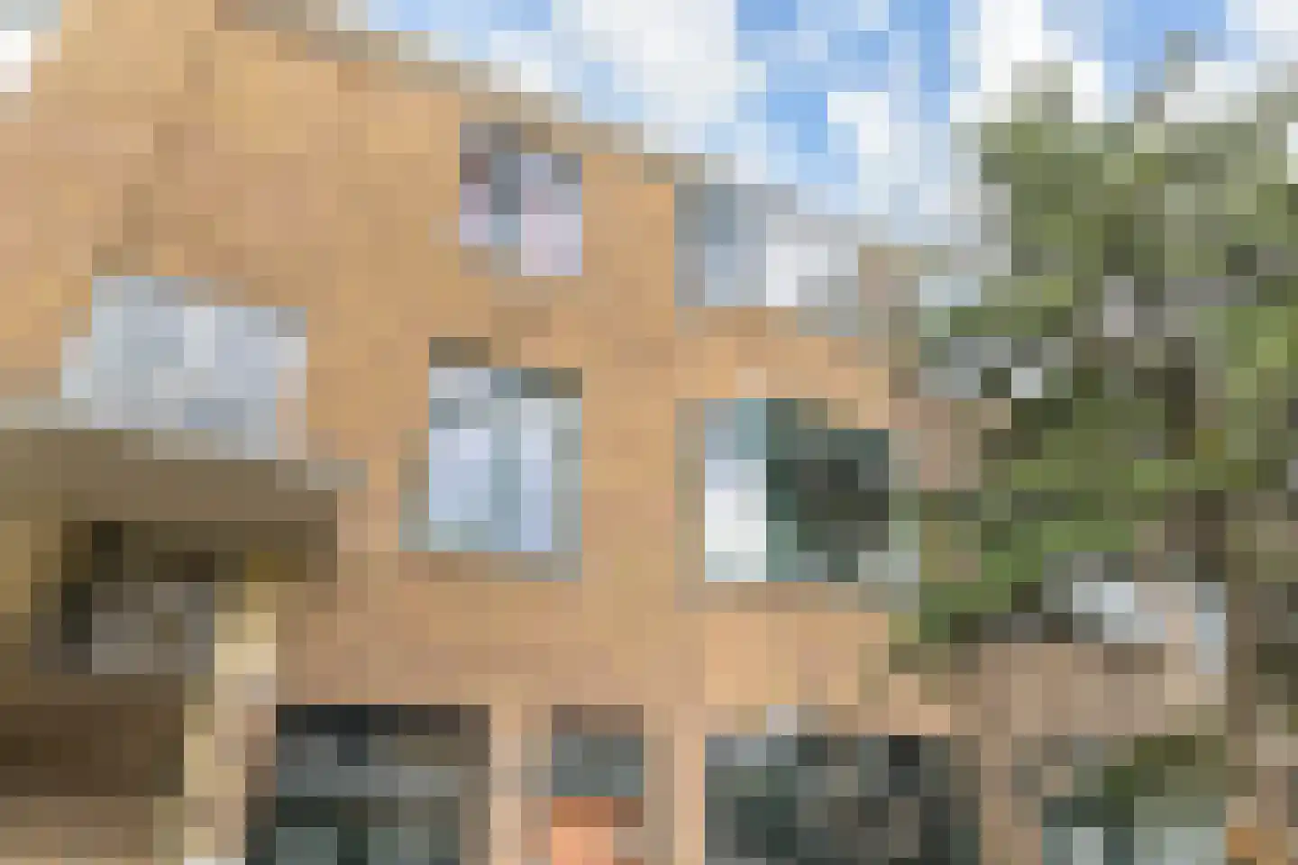 Van Reesstraat 99 Den Haag thumbnail 5