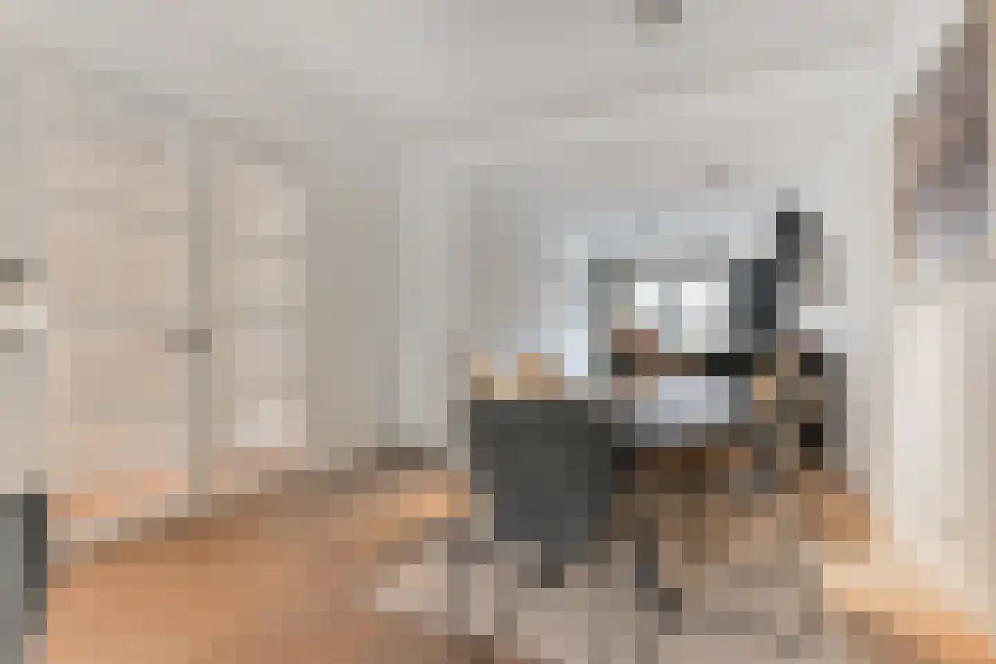 Van Reesstraat 99 Den Haag thumbnail 9