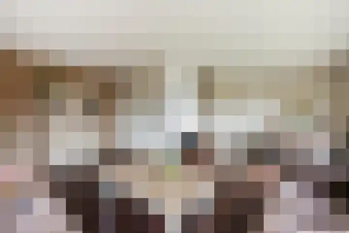 van Reestraat 4 Wilsum thumbnail 10