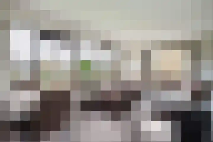 van Reestraat 4 Wilsum thumbnail 11