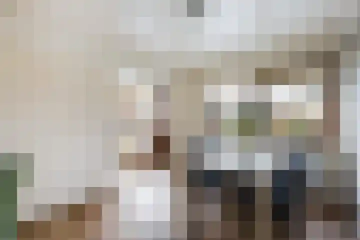 van Reestraat 4 Wilsum thumbnail 14