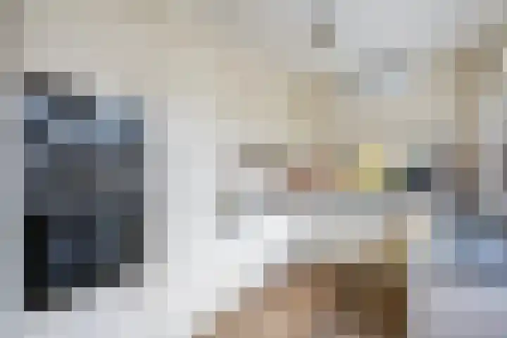 van Reestraat 4 Wilsum thumbnail 15