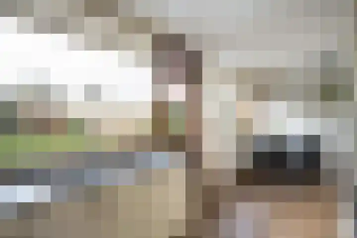van Reestraat 4 Wilsum thumbnail 16