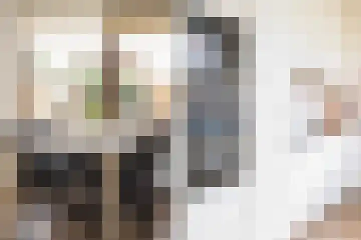 van Reestraat 4 Wilsum thumbnail 17