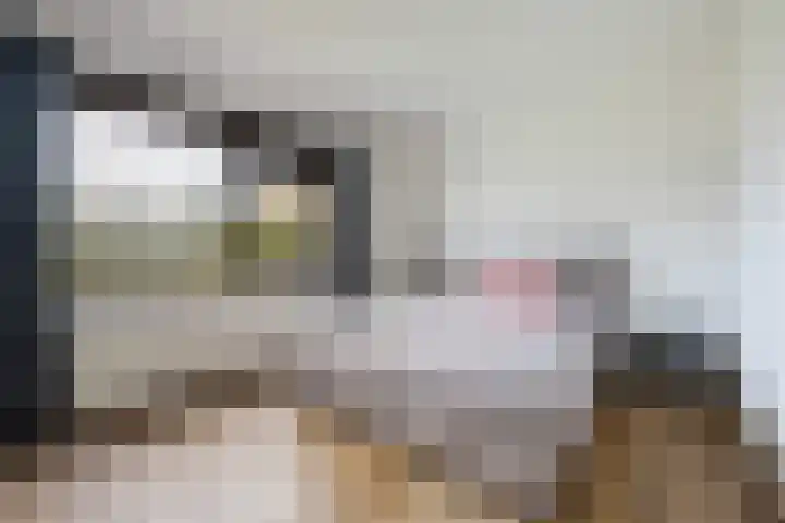 van Reestraat 4 Wilsum thumbnail 19