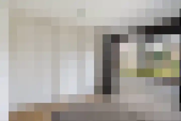 van Reestraat 4 Wilsum thumbnail 20
