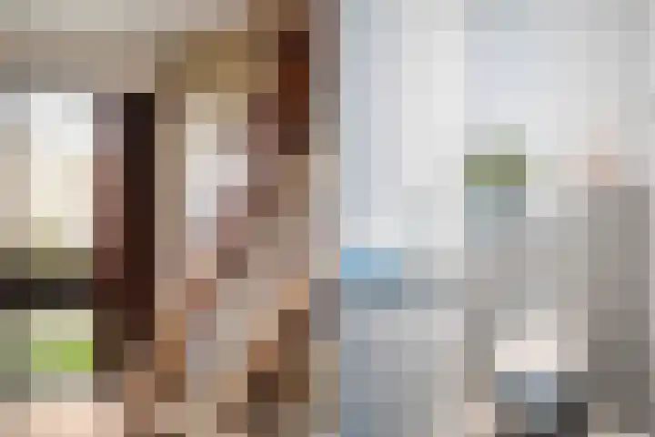 van Reestraat 4 Wilsum thumbnail 22