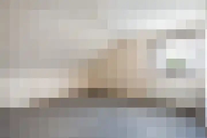 van Reestraat 4 Wilsum thumbnail 24