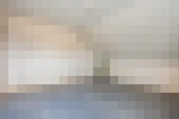 van Reestraat 4 Wilsum thumbnail 25