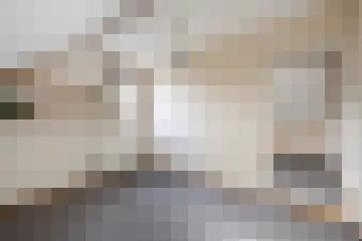 van Reestraat 4 Wilsum thumbnail 26